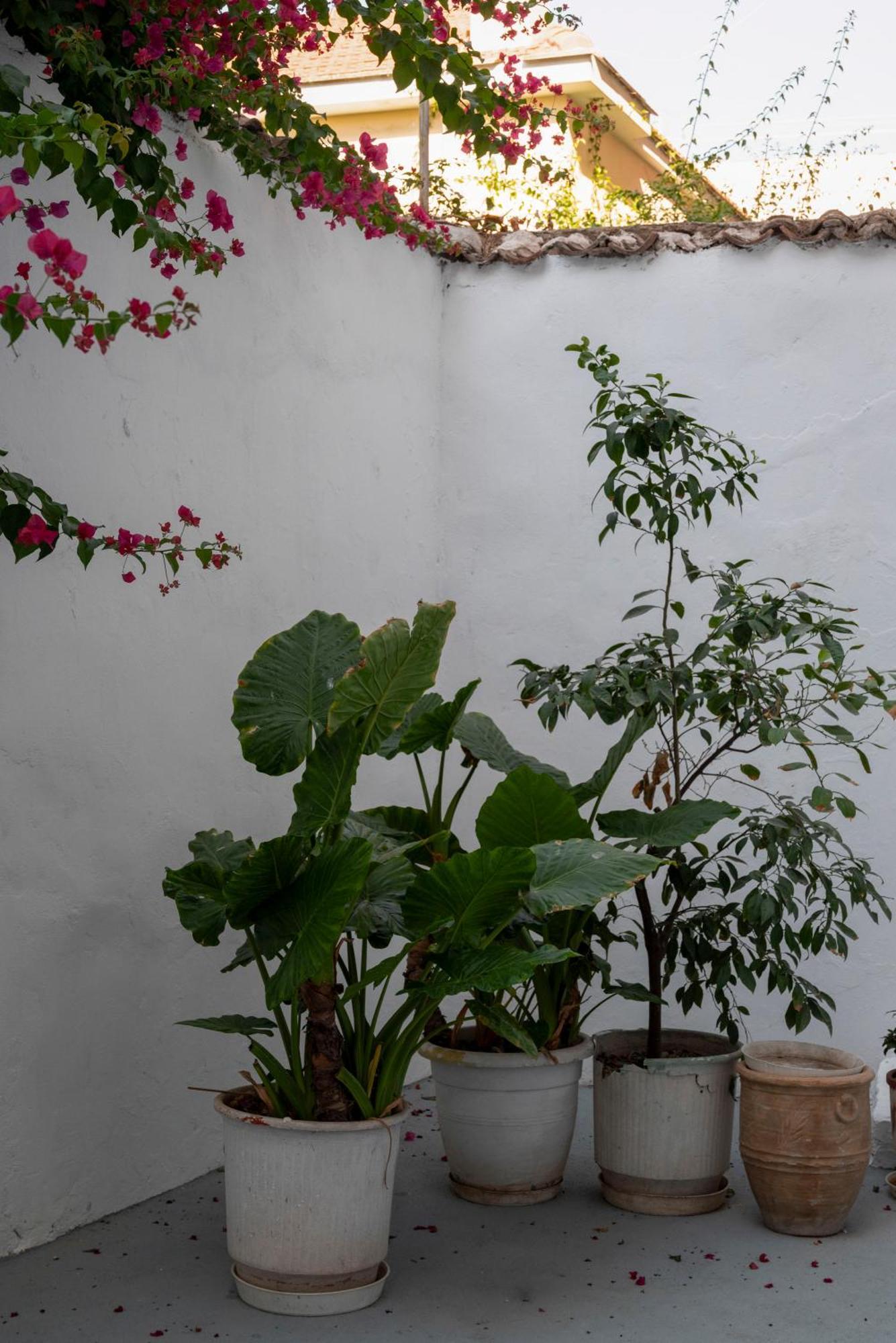 Thissio Getaway 2Ba Next To Athens Ancient Market المظهر الخارجي الصورة