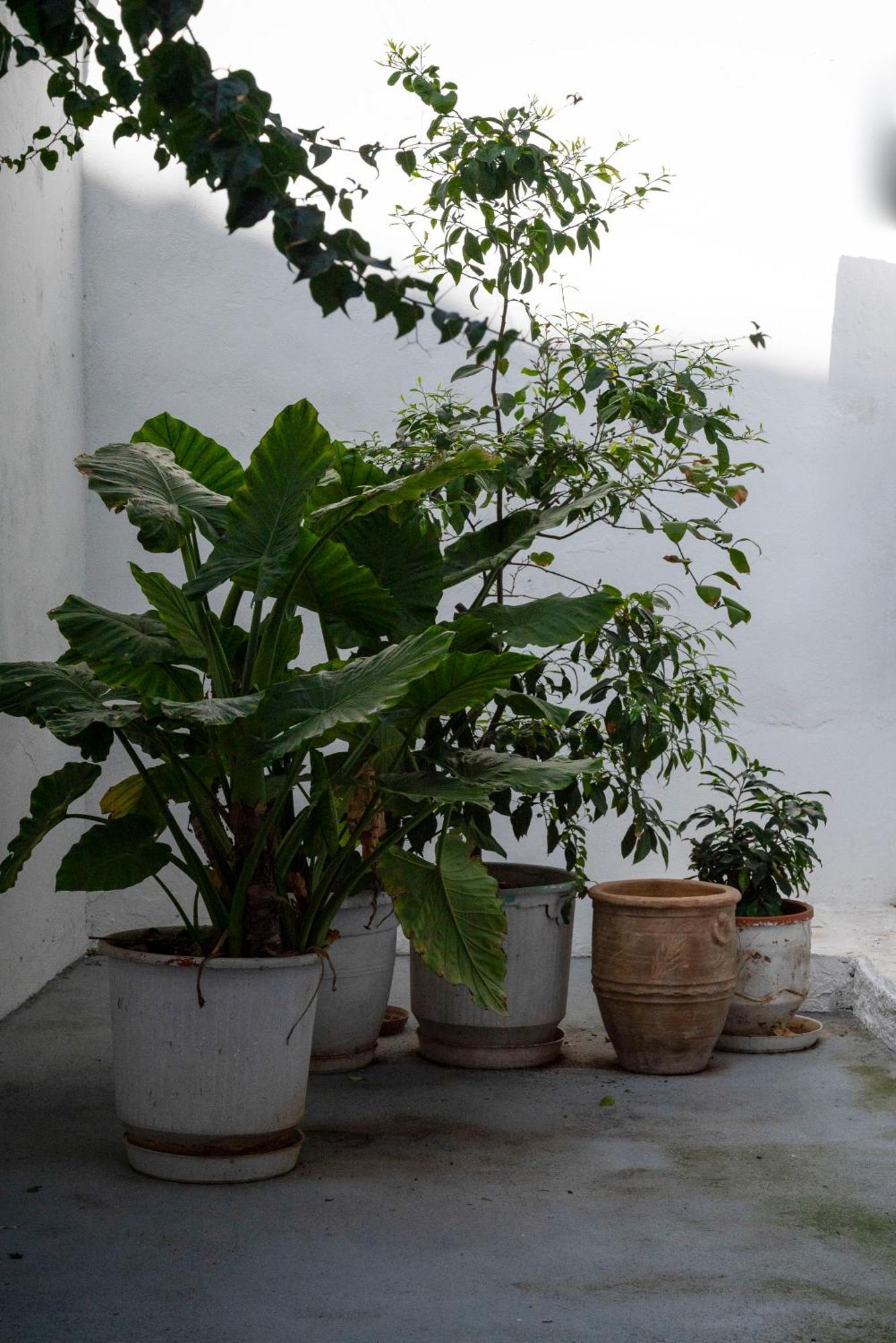 Thissio Getaway 2Ba Next To Athens Ancient Market المظهر الخارجي الصورة